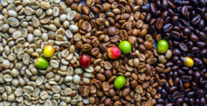 Read more about the article Coffee Beans in Tanzania: Quality, Benefits, Types, and How to Buy at Source