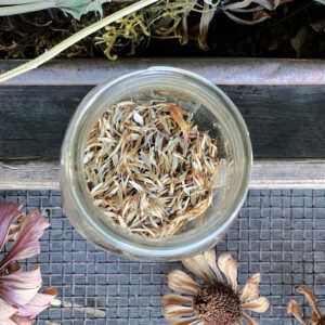 Premium Zinnia Seeds (Zinnia elegans) – Vibrant Garden Blooms